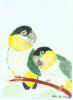 conures.jpg (546962 bytes)